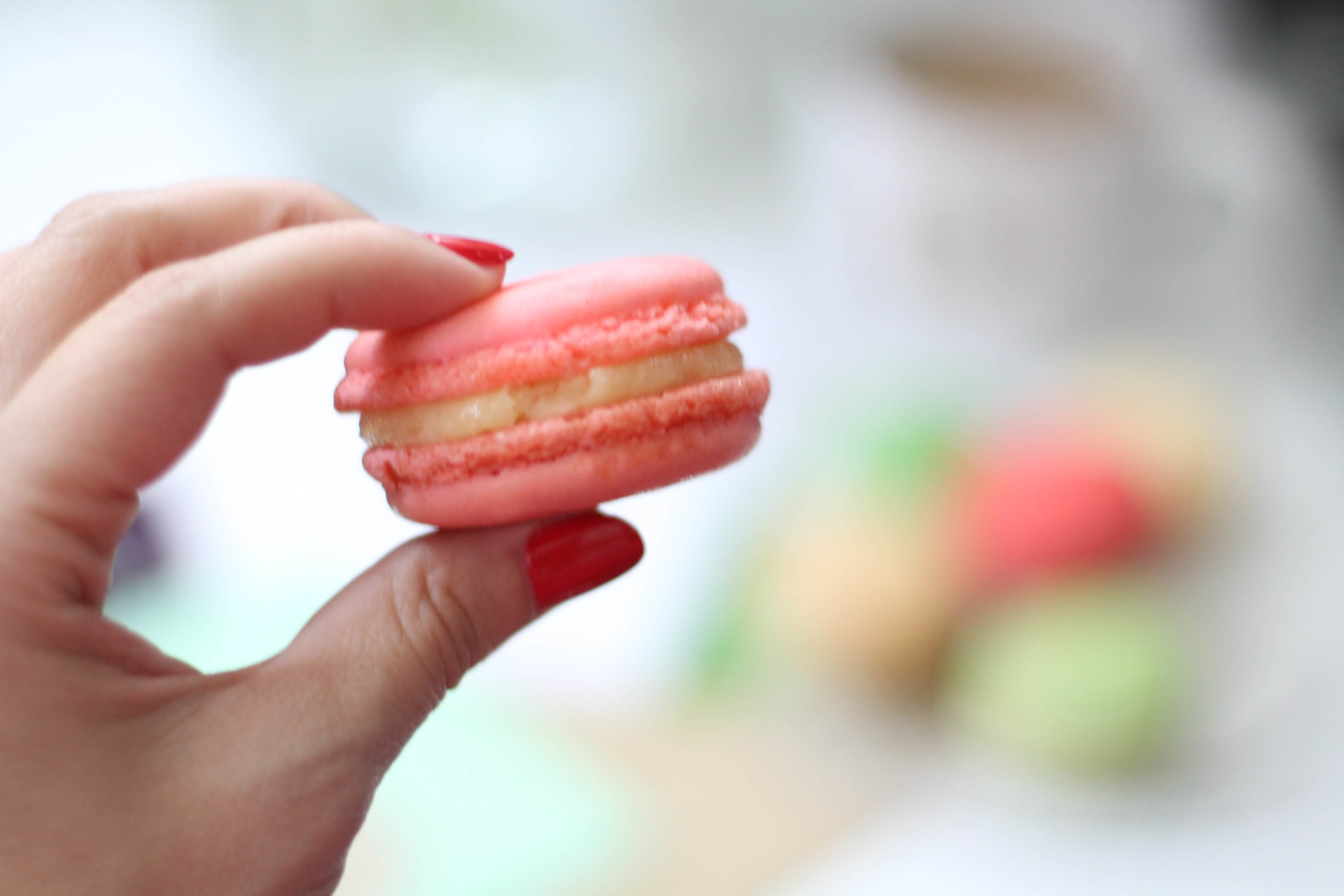 Hallmark Signature and Cafe Macaron (3 of 14)